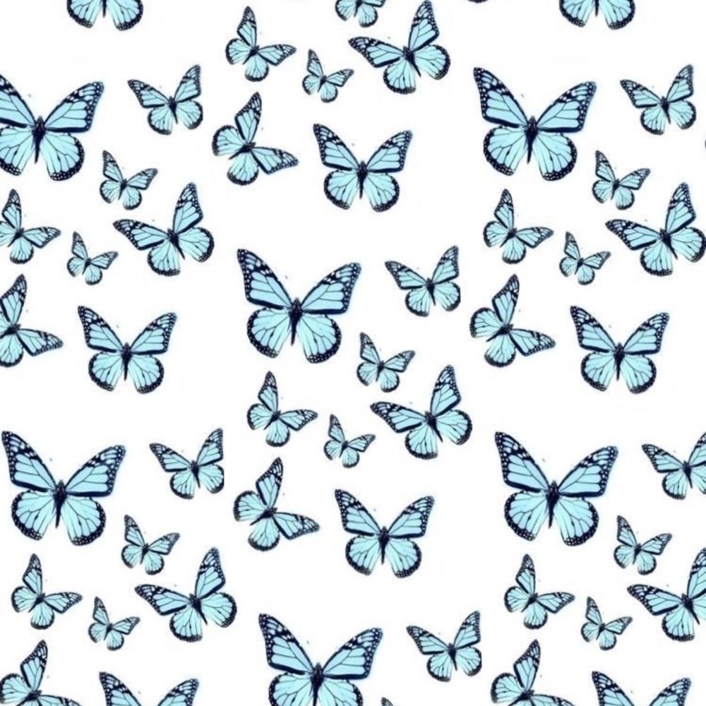 Meet your Posher, Gianna